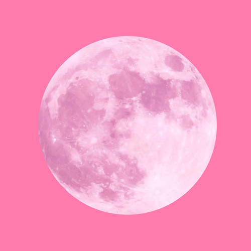 Moon Lover