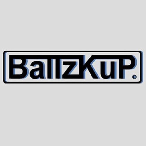 The TOYS - ไวน์ลดา (blurblur) BallzKup Re-Vocal