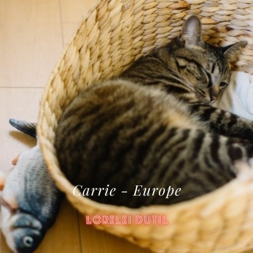 Carrie - Europe