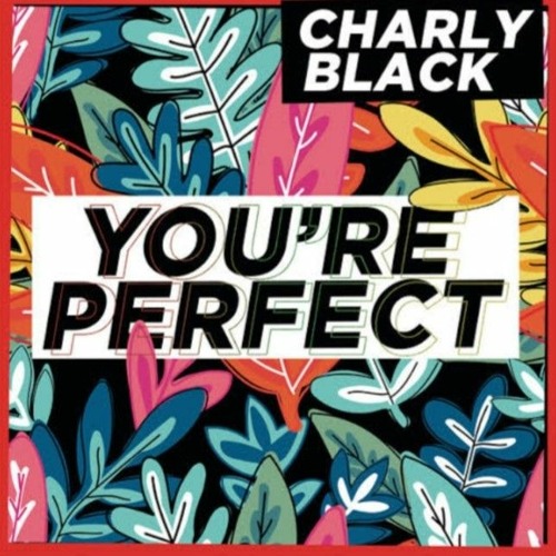 You’re Perfect - Charly Black ( Slowed )