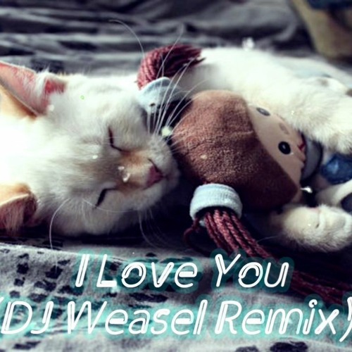 (DJ Weasel Remix)I Love You - DJ Kevin Rater