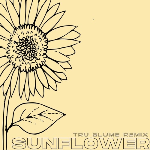 SUNFLOWER - Post Malone & Swae Lee Owen Michael Remix