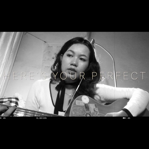 Here's your perfect - Jamie Miller acoustic cover