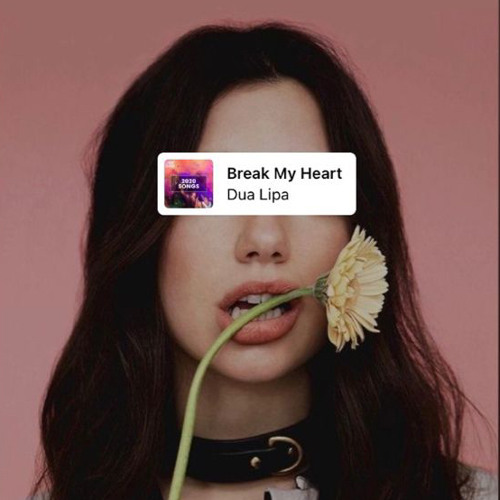 Dua Lipa - Break My Heart (Remix)