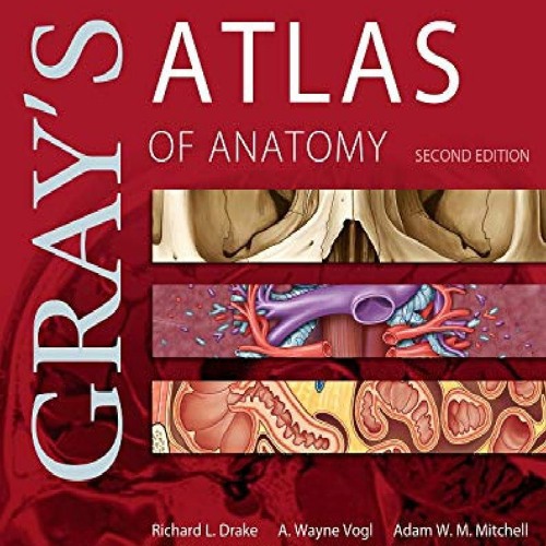 READ DOWNLOAD Gray's Atlas of Anatomy (Gray's Anatomy)