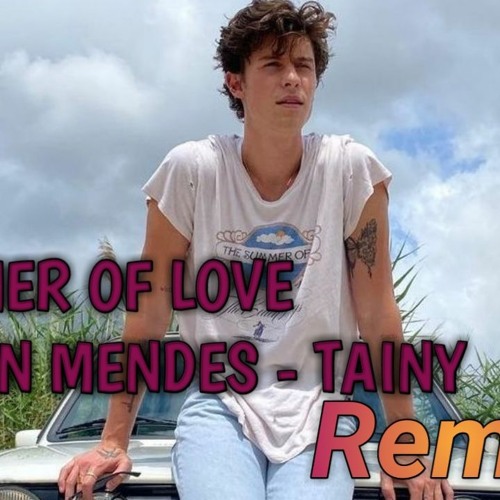 Shawn Mendes Tainy - Summer of Love(Praveen Remix)(Progressive House Remix)