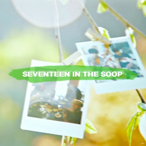 SEVENTEEN(세븐틴) - SEVENTEEN IN THE SOOP