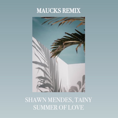 Shawn Mendes - Summer Of Love (Maucks Remix)