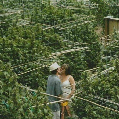 Its A Mans Mans Mans World (Slowed reverb) by RNB