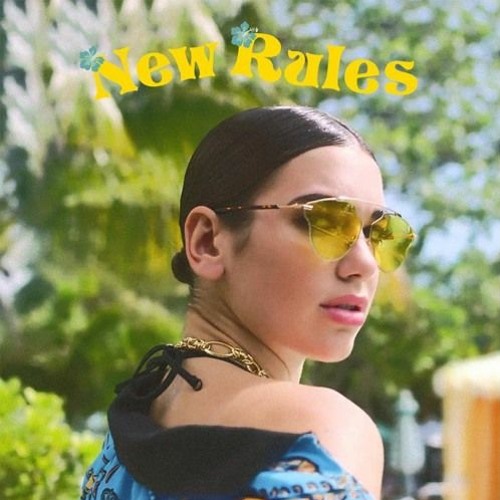 Dua Lipa - New Rules (Future House Remix)