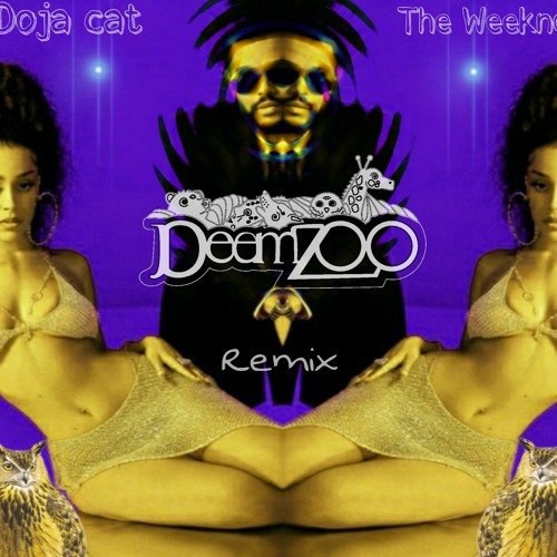 Doja Cat X The Weeknd- You Right (DeemZoo Remix)