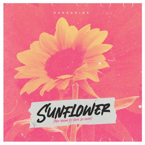 Sunflower (Post Malone ft. Swae Lee cover)