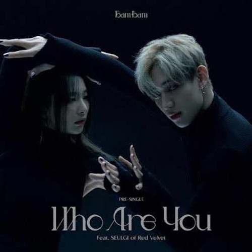 BamBam Who Are You (Feat. seulgi of Red Velvet)