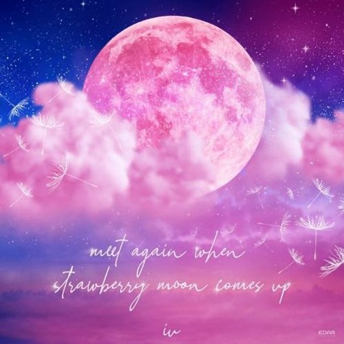 strawberry moon - IU