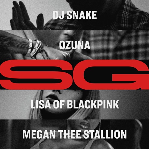 DJ Snake Ozuna Megan Thee Stallion LISA - SG (ADLC Remix)