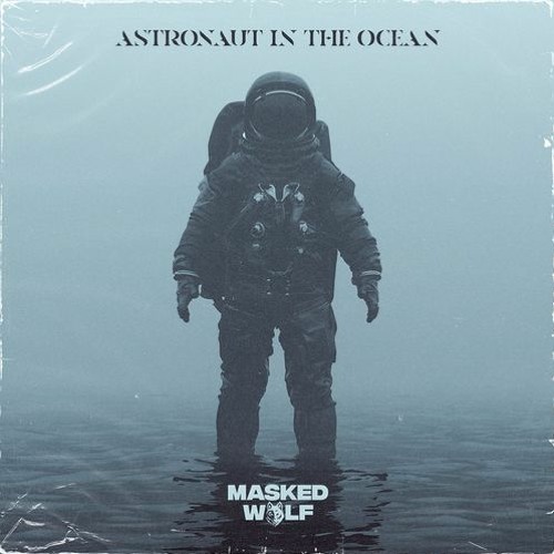 Astronaut In The Ocean COVER