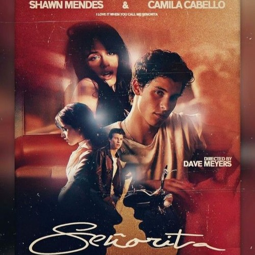 Shawn Mendes Camila Cabello - Señorita (H0B3X Bootleg)