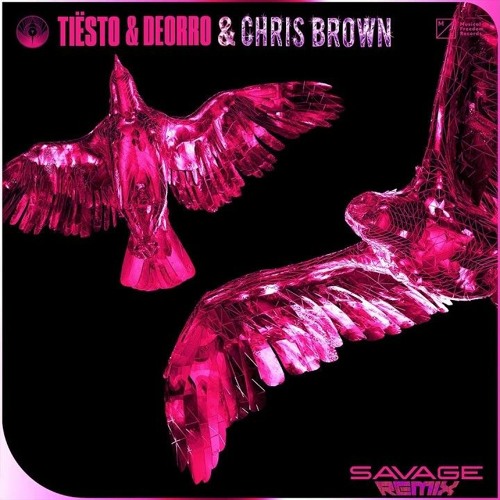 Tiësto & Deorro - Savage x Go Crazy (ft. Chris Brown) STIVE Mashup