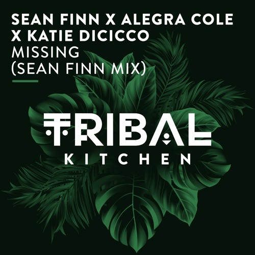 Sean Finn x Alegra Cole x Katie DiCicco - Missing (Sean Finn Radio Edit)