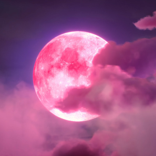 IU 'strawberry moon' live ver