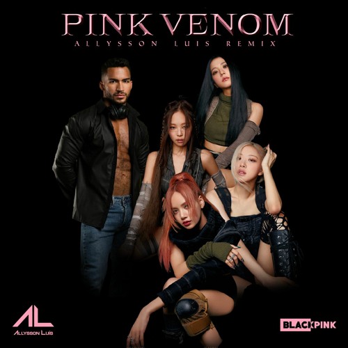 Black Pink -Pink Venom (Allysson Luis remix)