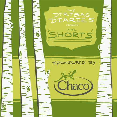 The Shorts--Dreamsing True