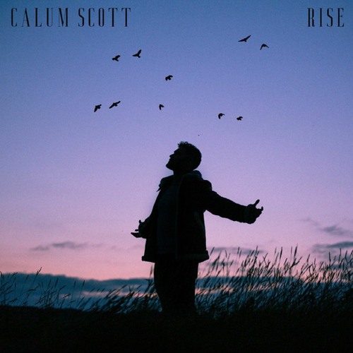 Calum Scott - Rise (Dario er Club Remix) OUT NOW
