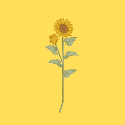 Sunflower - Post Malone & Swae Lee (Sped Up)