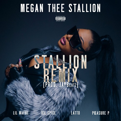 Megan Thee Stallion - Stallion Remix (feat. Pleasure P Lil Wayne Latto & Ice Spice) HVLM