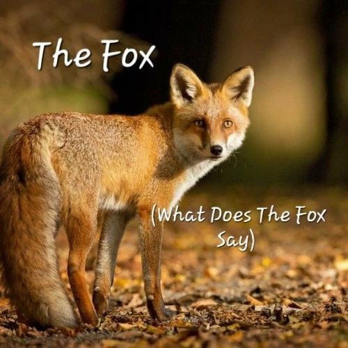 The Fox(What Does The Fox Say) Cover