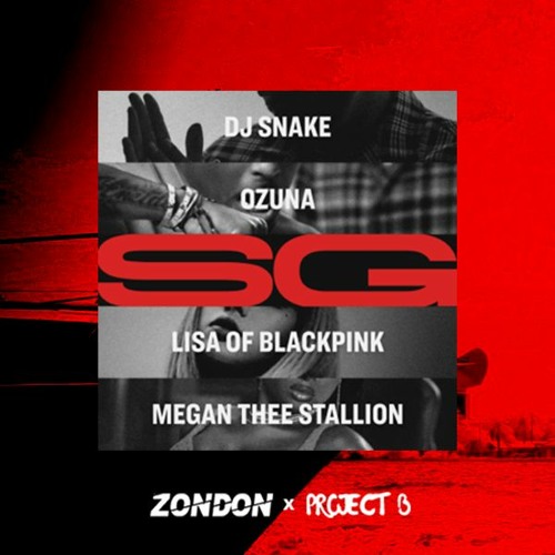 DJ Snake - SG (DJ PROJECT B x ZONDON REMIX)