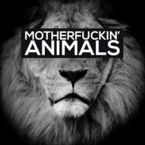 Animals - Martin Garrix (Funny Animals Vs T - Animals - Tomas Duarte Mashup)