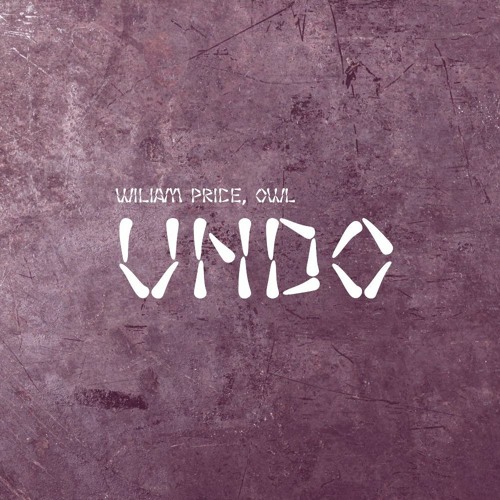 Wiliam Price Owl - Undo (Original Mix)