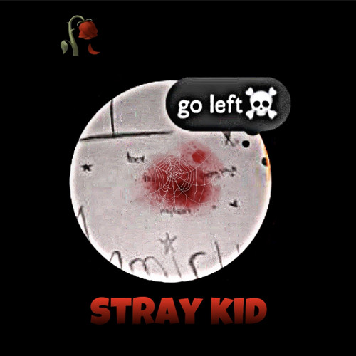 stray kid