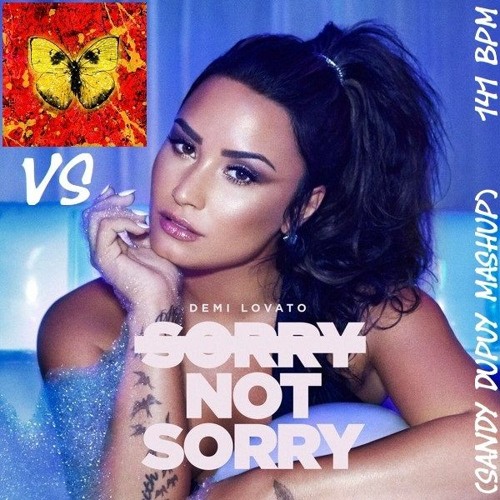 Demi Lovato x Ed Sheeran - Sorry Not Sorry x Shivers (Sandy Dupuy Mashup) 141 BPM