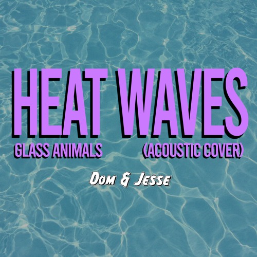 Heat Waves - Glass Animals (Acoustic Cover)