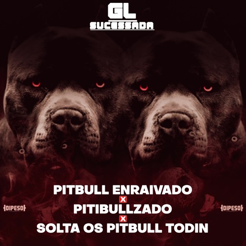 PITBUL ENRAIVADO X PITBULZADO X SOLTA OS PITBUL TODIN ( DJ GL SUCESSADA ) 2023