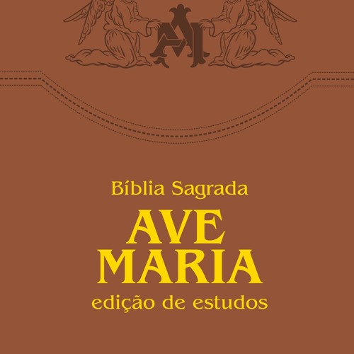 Read Online Bíblia de Estudos Ave-Maria BY Edição Claretiana - Editora Ave-Maria