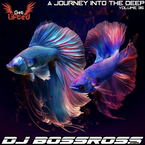 Journey into the Deep 35 - Best of Deep House & Melodic Vocal House