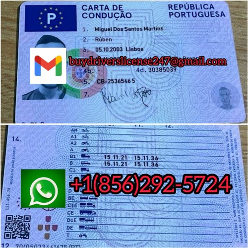 Buy database Portugal driver’s license Buy Portugal driver’s license online