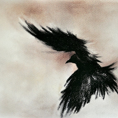 Dark Wings Dark Words