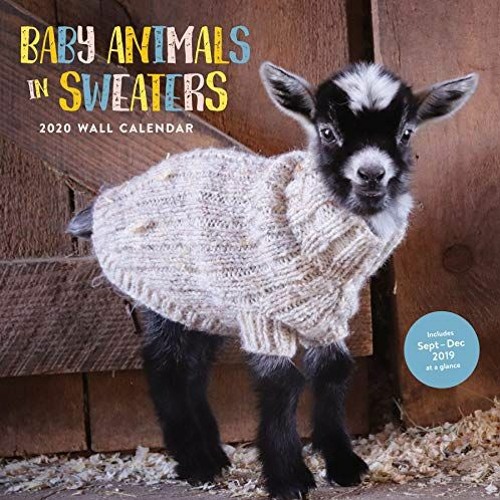 Read online Baby Animals in Sweaters 2020 Wall Calendar (2020 Wall Calendar Cute Wall Calendar An