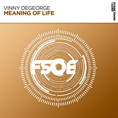 Vinny DeGeorge - Meaning of Life