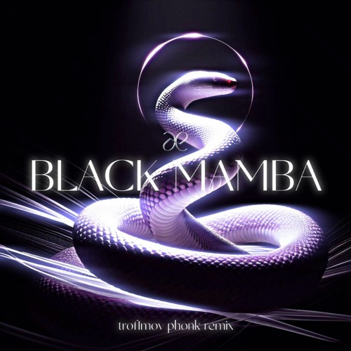 aespa - BLACK MAMBA (trof1mov phonk remix)