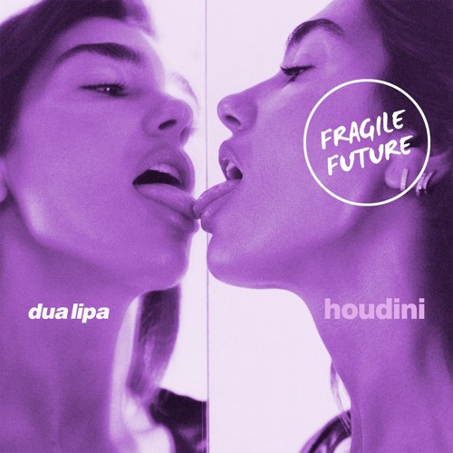 Dua Lipa - Houdini (Fragile Future vs Disco Dom Mashup Remix)