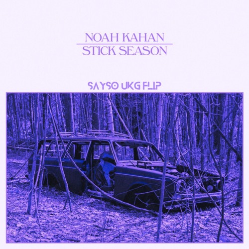 Noah Kahan - Stick Season (SAYSO UKG Flip)