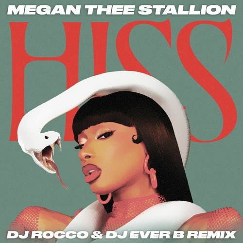 Megan Thee Stallion - HISS (DJ ROCCO & DJ EVER B Remix)