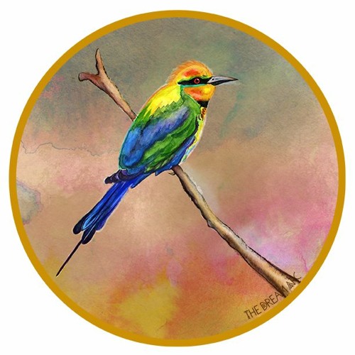 Bees Bee-Eaters & Syntropy - with Richard Rudd