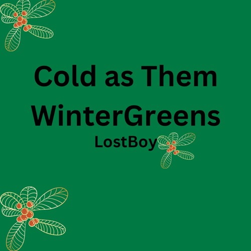 Cold as Them WinterGreens - LostBoy (ft. LostOsiris)
