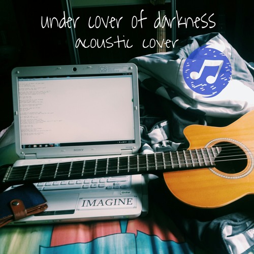 The Strokes - Under cover of Darkness ( acoustic cover )